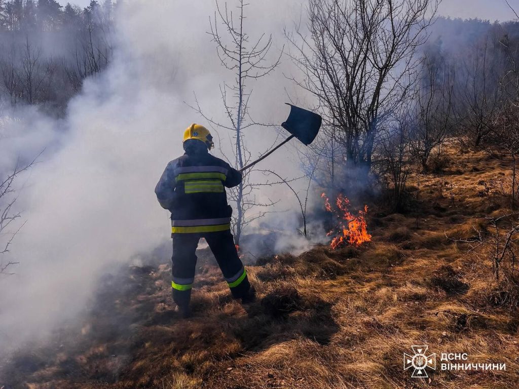 На Вінниччині за добу вигоріли 11 гектарів землі