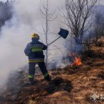 На Вінниччині за добу вигоріли 11 гектарів землі