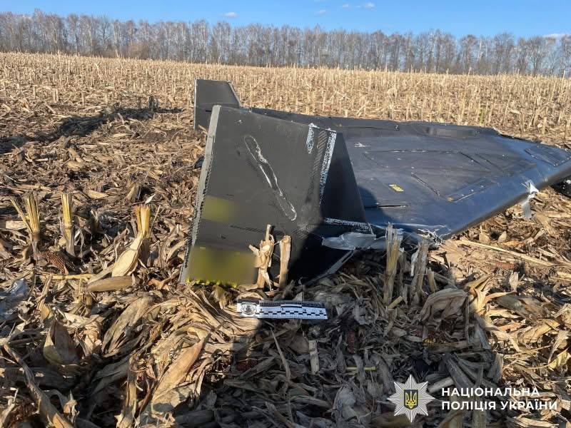 На Вінниччині знешкодили небезпечні уламки дрона «Герань-2»