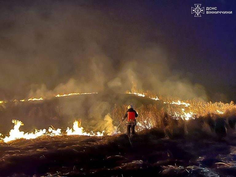 На Вінниччині за добу вигоріло понад 12 гектарів екосистем