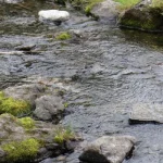 У Вінниці малу річку перетворять на зону відпочинку