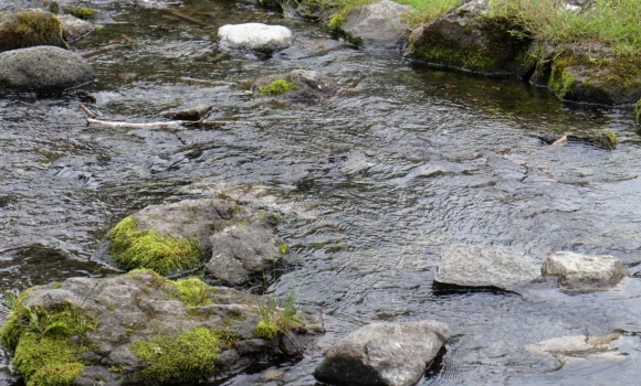У Вінниці малу річку перетворять на зону відпочинку