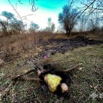 На Вінниччині загинула жінка під час пожежі