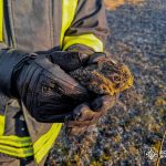 Рятувальники б’ють на сполох: кількість пожеж на Вінниччині стрімко зростає