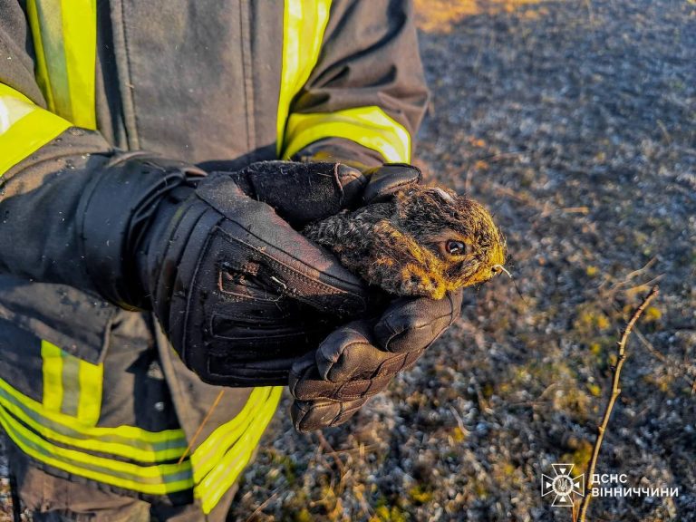 Рятувальники б’ють на сполох: кількість пожеж на Вінниччині стрімко зростає