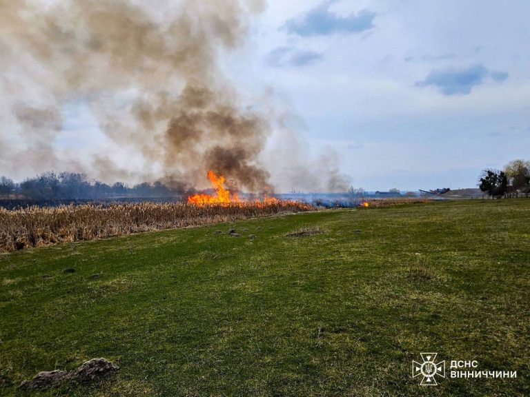 На Вінниччині за добу вигоріло сім гектарів землі