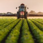 На Вінниччині триває посівна: аграрії засіяли вже 72 тисячі гектарів