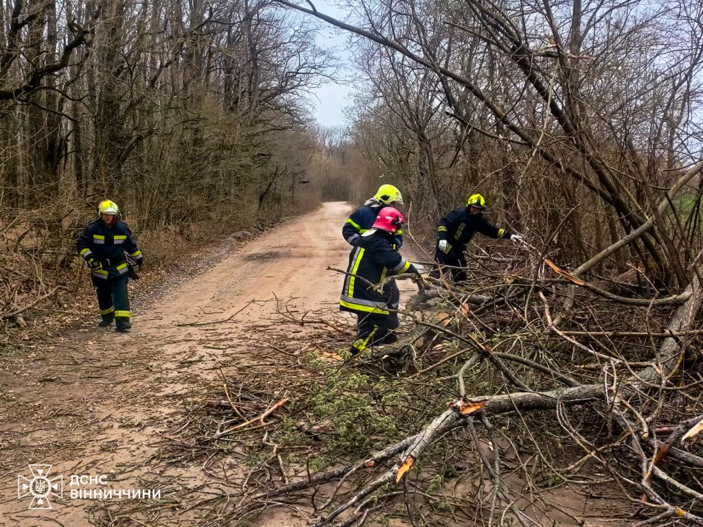 Негода на Вінниччині: рятувальники чотири рази виїжджали на виклики