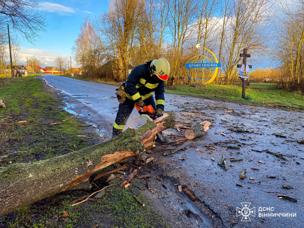 Повалені дерева блокують дороги: ситуація на Вінниччині