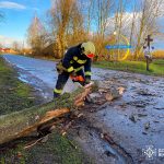 Повалені дерева блокують дороги: ситуація на Вінниччині