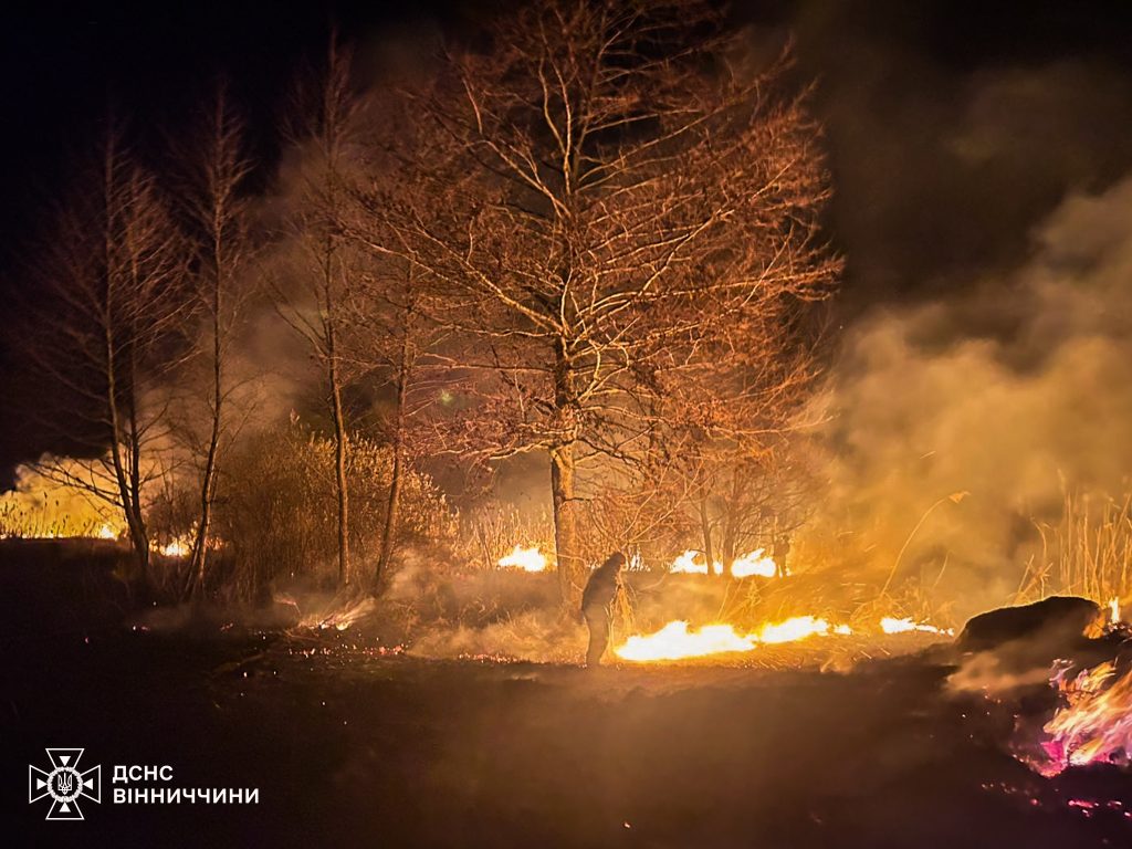 13 пожеж за добу: на Вінниччині горіли склади, будівлі та екосистеми