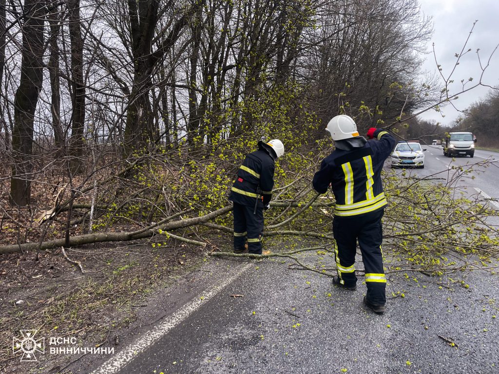 Негода на Вінниччині: рятувальники двічі виїжджали на допомогу