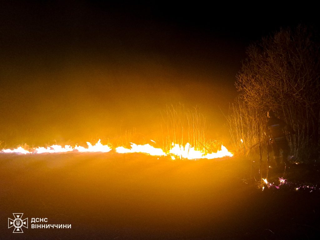 На Вінниччині вогонь охопив понад шість гектарів землі