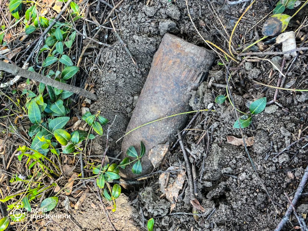 Небезпечна знахідка на кладовищі: сапери знешкодили боєприпаси на Вінниччині