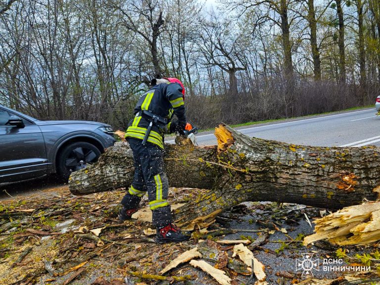 Сильний вітер на Вінниччині: дороги розчищали від повалених дерев