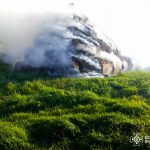 Вогонь охопив понад 2 гектари: рятувальники ліквідували пожежі на Вінниччині