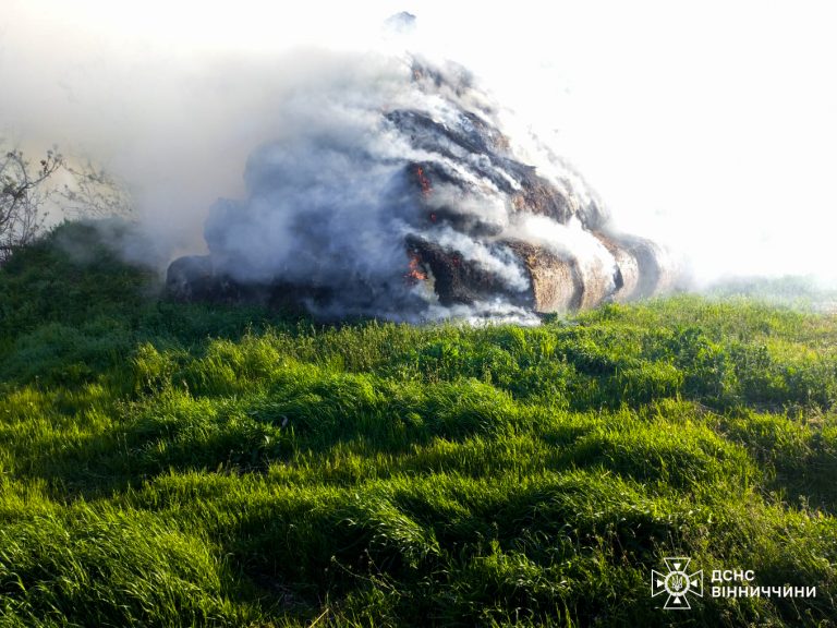 Вогонь охопив понад 2 гектари: рятувальники ліквідували пожежі на Вінниччині