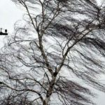 На Вінниччині 28 квітня оголосили жовтий рівень небезпеки через пориви вітру