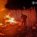 На Вінниччині зростає кількість пожеж в екосистемах