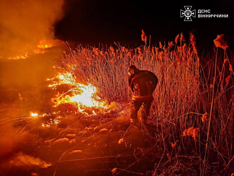 На Вінниччині зростає кількість пожеж в екосистемах