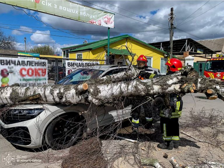 Через буревій на Вінниччині травмувався чоловік