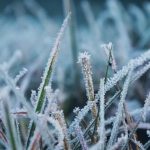 Похолодання на Вінниччині: оголошено жовтий рівень небезпеки