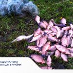 На Вінниччині викрили 44 випадки браконьєрства під час нересту