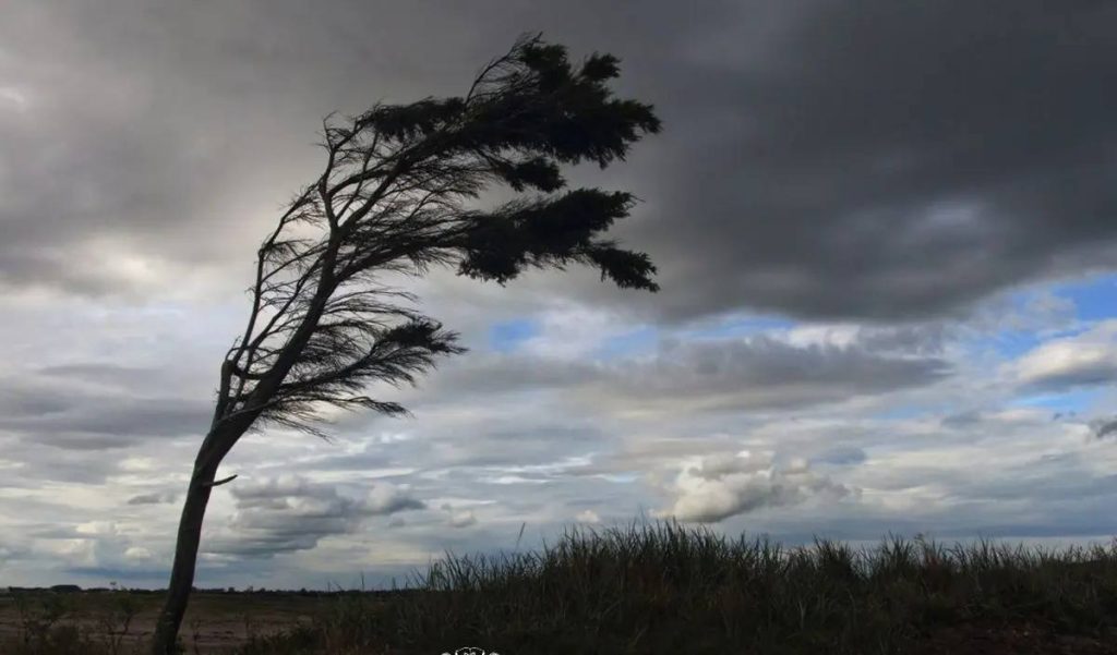 На Вінниччині оголосили жовтий рівень небезпеки через сильний вітер