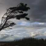На Вінниччині оголосили жовтий рівень небезпеки через сильний вітер