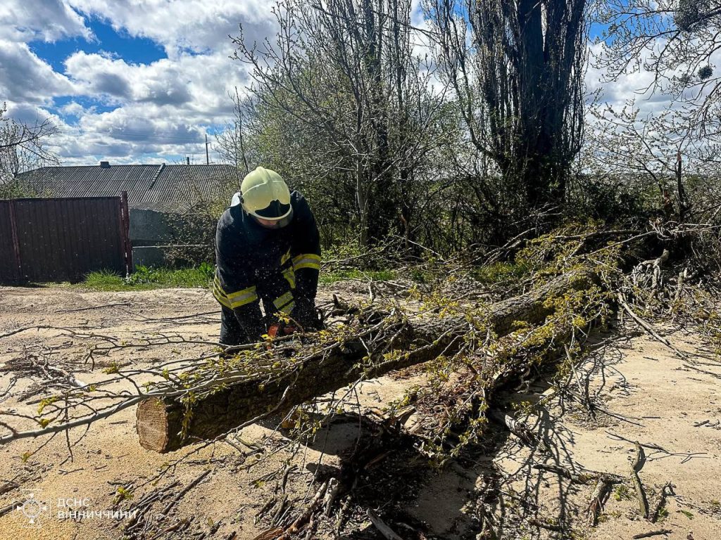 На Вінниччині дерева перекрили дороги: рятувальники відновили рух