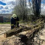 На Вінниччині дерева перекрили дороги: рятувальники відновили рух