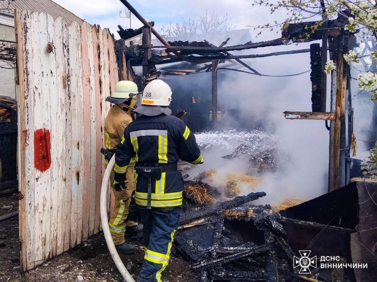 Масштабні загоряння в області: горіли екосистеми та будинки