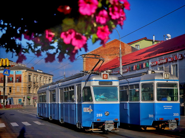 У Вінниці на Провідну неділю курсуватиме додатковий транспорт
