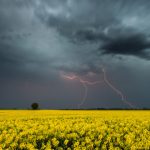 У Вінниці оголосили жовтий рівень небезпеки через грозу