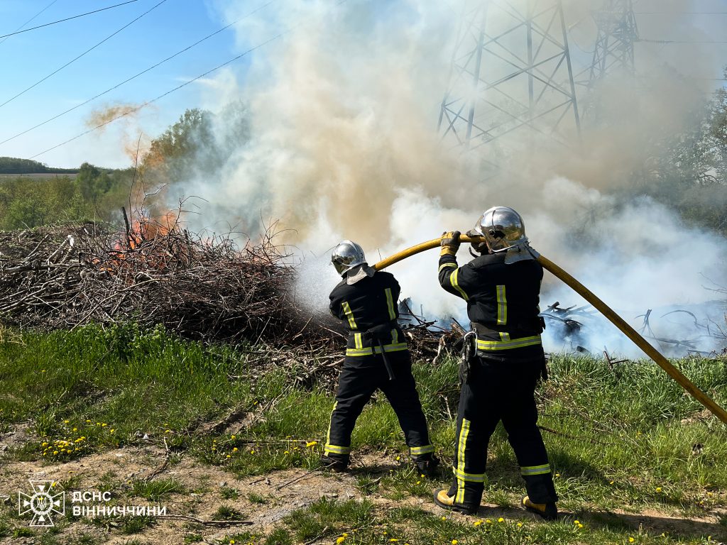 На Вінниччині з початку року сталося 557 пожеж в екосистемах