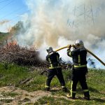 На Вінниччині з початку року сталося 557 пожеж в екосистемах