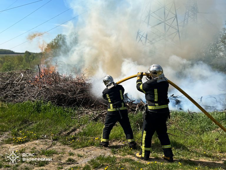 На Вінниччині з початку року сталося 557 пожеж в екосистемах