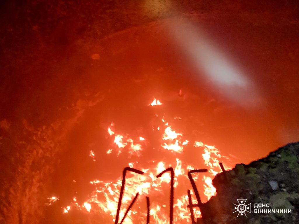 На Вінниччині з початку року сталося 566 пожеж в екосистемах