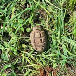 На Вінниччині сапери ДСНС знищили гранату часів Другої світової