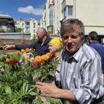 Вінницька птахофабрика та громада долучилися до озеленення Ладижина