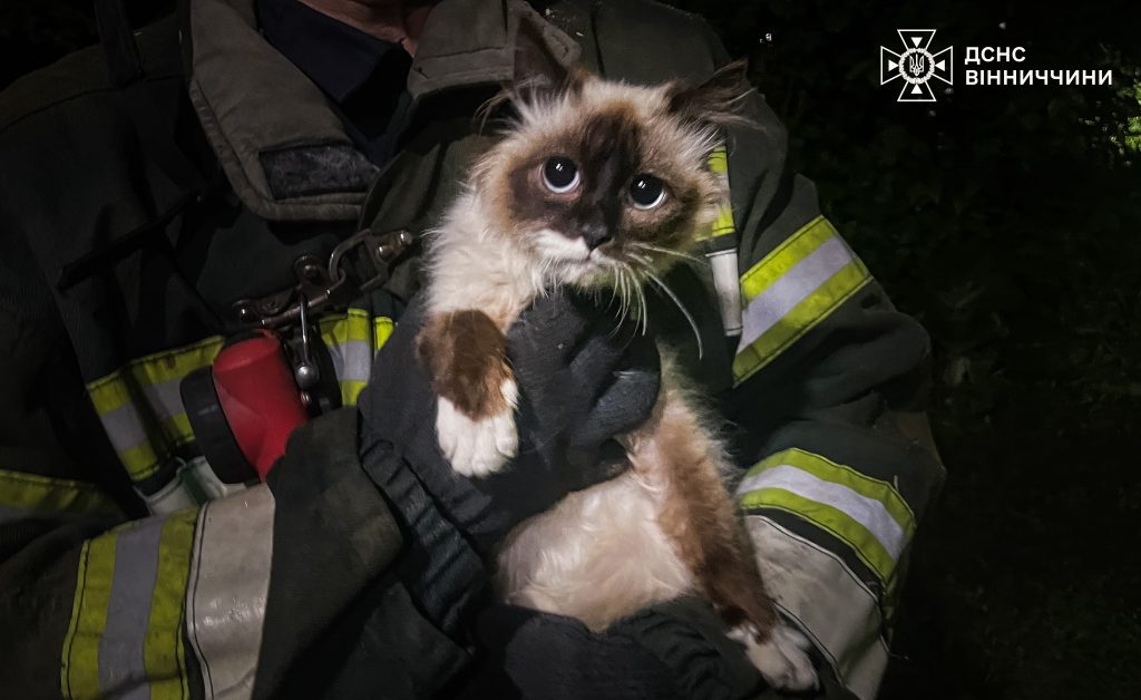 На Вінниччині надзвичайники врятували тварин, які опинилися у пастці