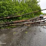 Негода на Вінниччині: рятувальники відновили рух на дорогах