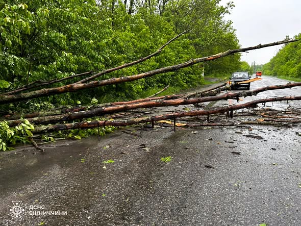 Негода на Вінниччині: рятувальники відновили рух на дорогах