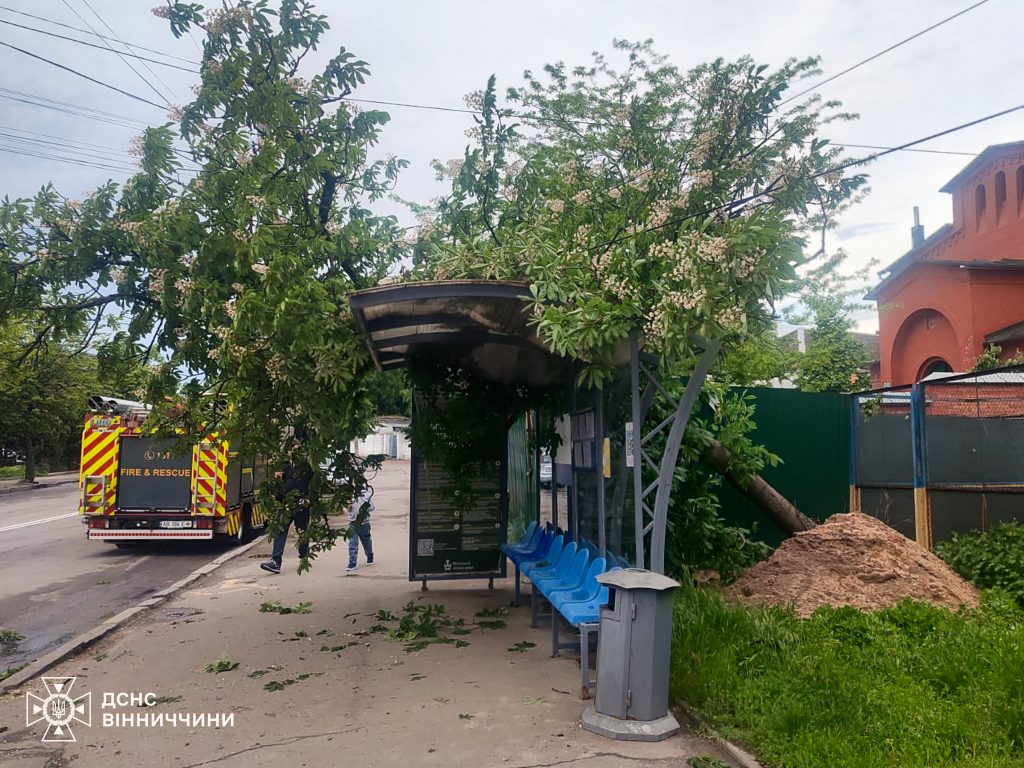 У Вінниці дерево впало на зупинку під час негоди