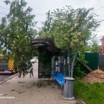 У Вінниці дерево впало на зупинку під час негоди