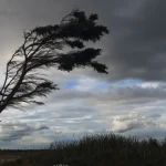 На Вінниччині оголосили жовтий рівень небезпечності через сильний вітер