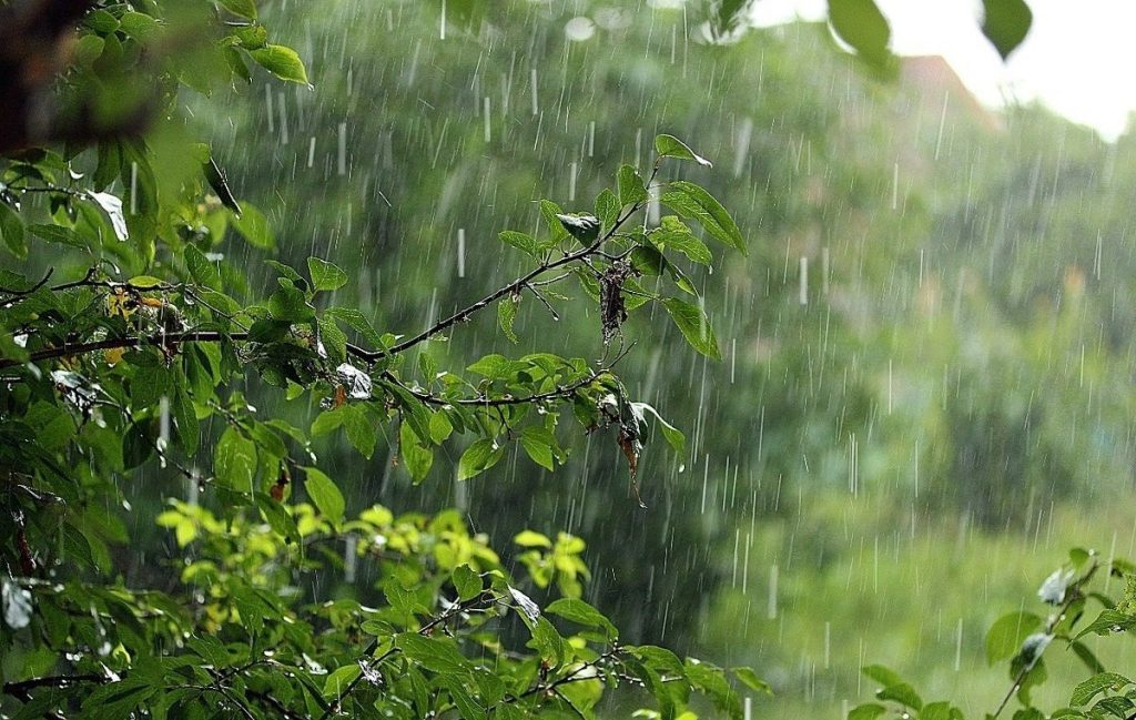 На Вінниччині оголосили жовтий рівень небезпечності через негоду