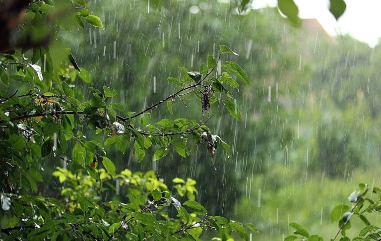 На Вінниччині оголосили жовтий рівень небезпечності через негоду