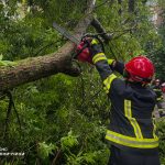 Негода на Вінниччині: рятувальники 26 разів ліквідовували наслідки дощів і вітру