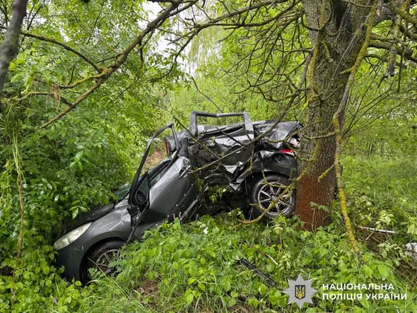 На Вінниччині за добу у двох смертельних ДТП загинули троє людей